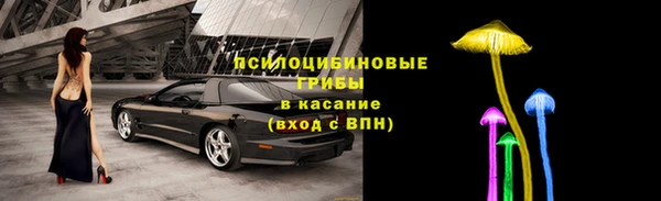 дурь Богородицк