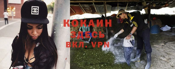твердый Богородск