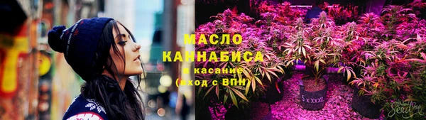 твердый Богородск