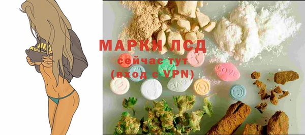 твердый Богданович