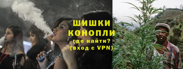 дурь Богородицк